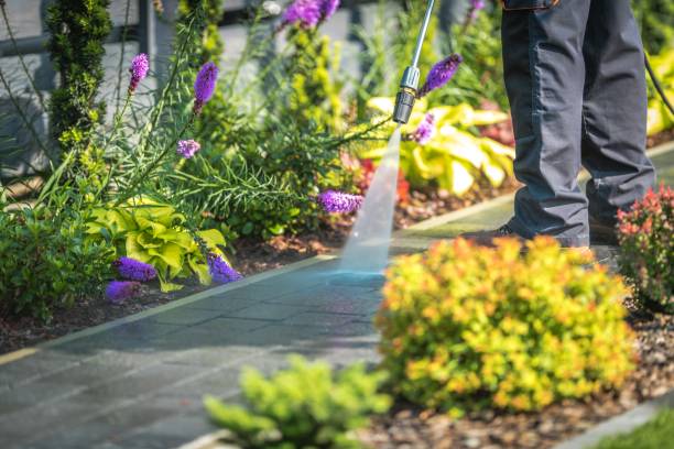 Best Driveway Pressure Washing  in Lockport, NY